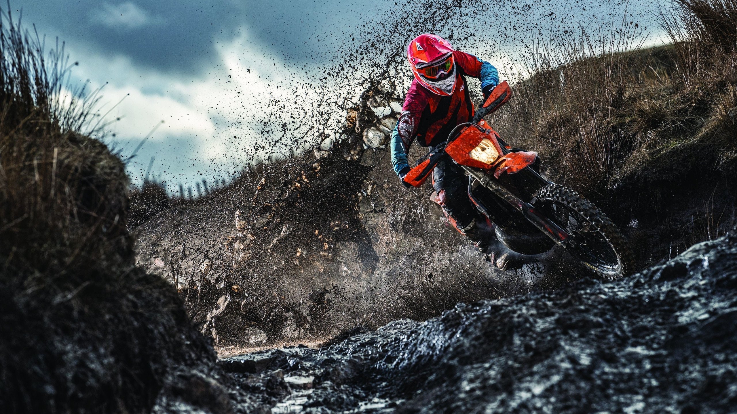 亚冠晋级球队备战策略各具特色，亚冠晋级球队备战策略各具特色是什么